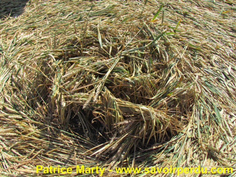 Etchilhampton (2), Wiltshire crop circle, aerial photo 39